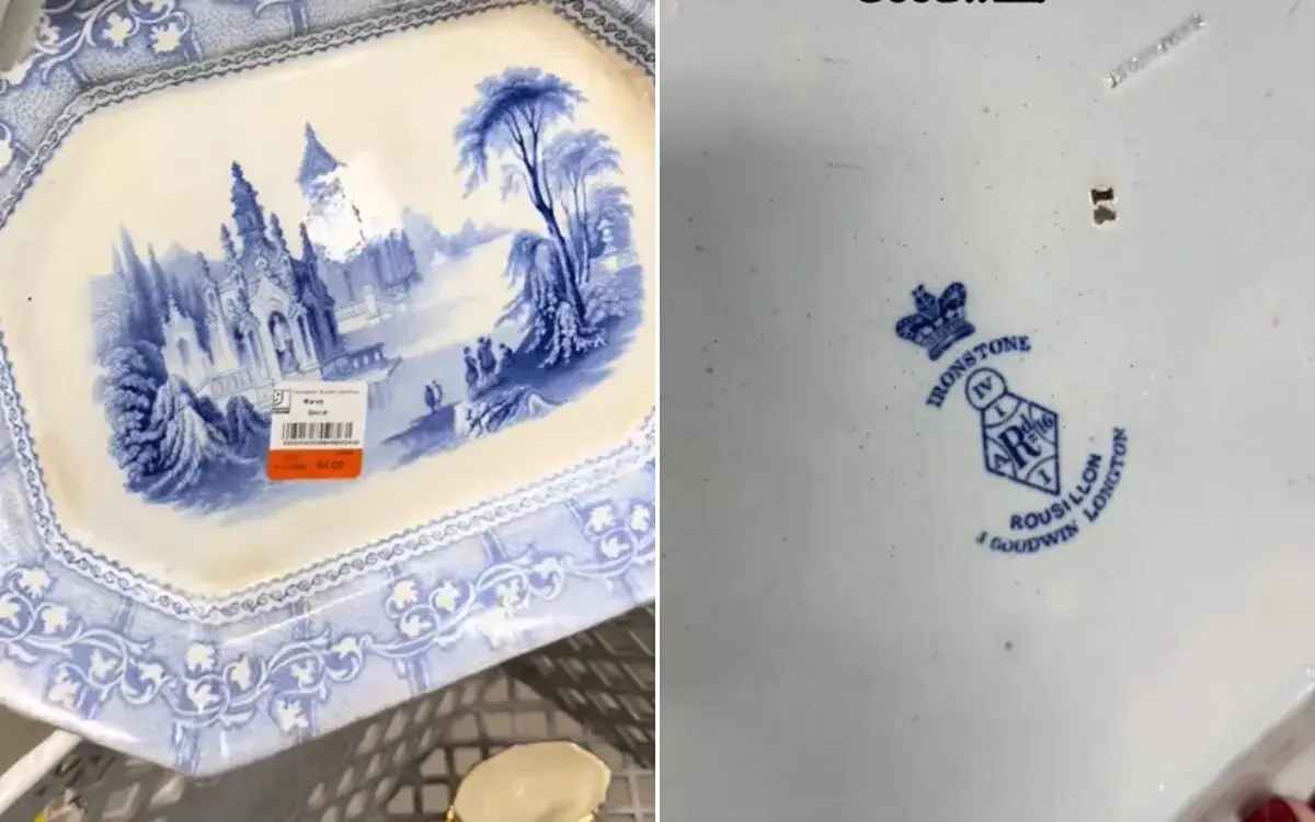 بشقاب ارزان، عتیقه گرانقیمت از آب درآمد / راز نوشته‌های پشت بشقاب چه بود؟