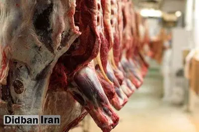 سازمان نظام دامپزشکی: گزارشاتی از فروش گوشت الاغ و اسب وجود دارد/ مردم نگران نباشند، فروش گوشت الاغ زیاد نیست!
