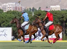 گزارش تصویری دیده بان ایران از مسابقات چوگان / ایران و هندوستان + پاکستان و آفریقای جنوبی 