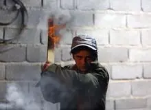 پایان تدوین فیلم «لاک پشت های یخ زده»