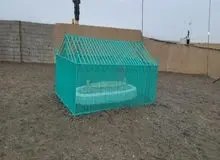 طالبان از مقبره ملاعمر رو نمایی کرد+ عکس 