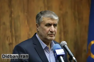 اسلامی: هدف اقدام ضدایرانی شورای حکام، امتیازگیری از تهران است