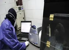 سایت «کرونا» راه اندازی شد