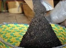 جزئیات تازه از پرونده فساد دبش/ ماجرای واردات "چای سنواتی سرطان‌زا" به ایران چیست؟
