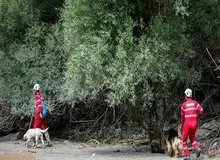 سرنوشت ۲۰ گردشگر گم شده در جنگل دلفور