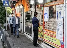 گزارشی از زندگی روزمره در محله مرغی های تهران / جولان موش ها در خیابانی که مرغ در آن مثل طلاست