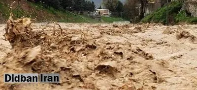 مدیریت کلنگی سیلاب در ایران؛ دو سیل مشابه در سیستان و بلوچستان طی ۴ سال/ «سد سازی چاره کار نیست»