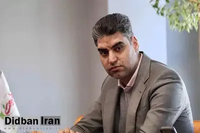 پیمان حدادی مدیرعامل باشگاه پرسپولیس شد