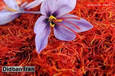 زعفران کیلویی ۱۲میلیون تومان