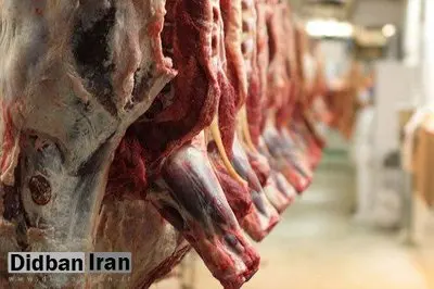 معاون وزیر جهاد کشاورزی: دلالان نمیگذارند گوشت ۷۵.۰۰۰ تومان شود