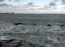  زلزله ترکیه آب دریاى مصر را سیاه کرد!