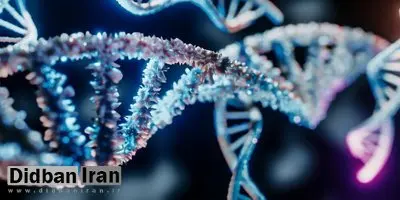 کشف دانشمندان: صدها ژن که در مغز مردان و زنان متفاوت عمل می‌کنند