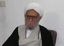 آیت‌الله امینی: اگر خدای‌نکرده حادثه‌ای رخ دهد پناهی جز رهبری نداریم/  باید دعا کنیم خداوند طول عمر به آقای خامنه ای دهد