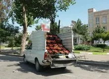 ارگان مطبوعاتی شهرداری تهران: وانتی هایی که میوه می فروشند مافیا دارند/ با قمه به ماموران ما حمله می کنند