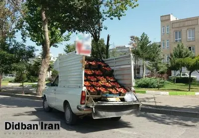 ارگان مطبوعاتی شهرداری تهران: وانتی هایی که میوه می فروشند مافیا دارند/ با قمه به ماموران ما حمله می کنند