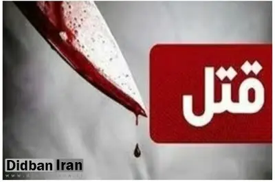 ماجرای جنایت خانوادگی در یوسف آباد تهران/ قاتل به خانه ما آمد و بهخاطر اختلافات خانوادگی با مادرم درگیر شد...