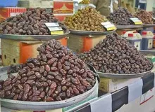 آفت درختان خرما و کاهش محصول یکی از دلایل افزایش قیمت خرماست 