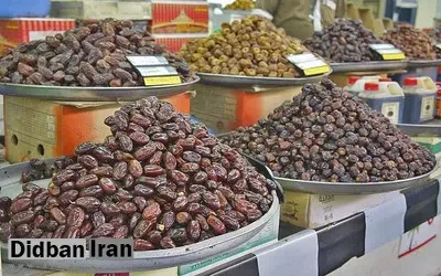 آفت درختان خرما و کاهش محصول یکی از دلایل افزایش قیمت خرماست 