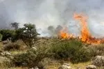 افلاطونی: تداوم پشتیبانی هوایی برای اطفای حریق جنگل الیت ضروری است