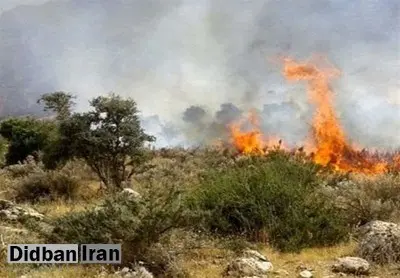 افلاطونی: تداوم پشتیبانی هوایی برای اطفای حریق جنگل الیت ضروری است