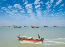 بوشهری‌ها از خلیج فارس فقط ماهی گرفته‌ و خورده‌اند!/ قطب گردشگری دریایی برای بوشهر یک شعار است