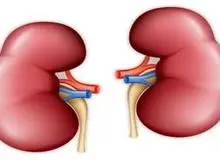 عاداتی که به کلیه‌ها آسیب می زنند