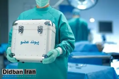 اهدای عضو بانوی جوان رفسنجانی به ۳ بیمار زندگی دوباره بخشید