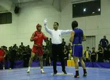 لیگ برتر ووشو؛پارس جنوبی در صدر ماند/شکست قهرمانان جهان