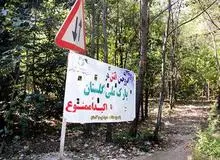 در پارک ملی گلستان چه میگذرد؟ گلستان دیگر پارک ملی ندارد؟!