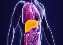 سه عامل خطر ابتلا به بیماری‌های کبدی