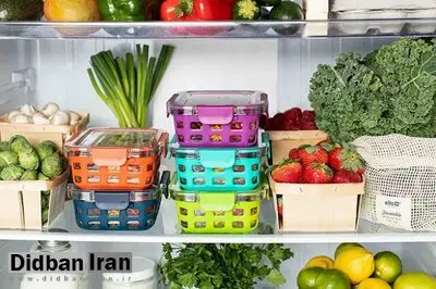 چگونگی انجماد و نگهداری ایمن مواد غذایی