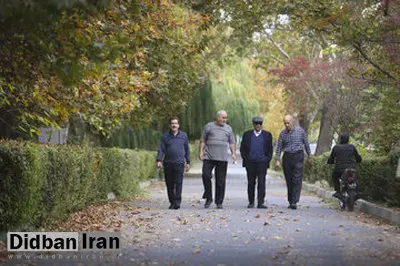 آیا عضلهسازی بعد از ۶۵ سالگی دیر است؟/ با این ۶ عادت مهم، پیری را عقب بیندازید