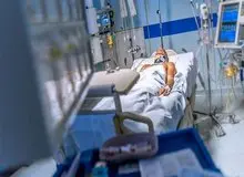 رئیس سازمان امور اجتماعی: اطلاع‌رسانی در مورد مصرف مشروبات الکلی بسیار ضعیف است/ در اطلاع رسانی رودربایستی داریم
