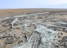 کاهش ۳۰ درصدی سطح تالاب میانکاله