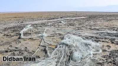 کاهش ۳۰ درصدی سطح تالاب میانکاله