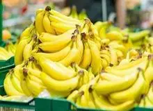 توصیه عجیب یک مسئول پس از گرانی موز؛ سیب بخورید از موز بهتر است !