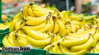 توصیه عجیب یک مسئول پس از گرانی موز؛ سیب بخورید از موز بهتر است !