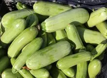 خواص کدو سبز برای کاهش نفخ