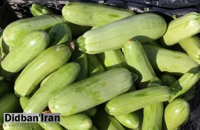 خواص کدو سبز برای کاهش نفخ
