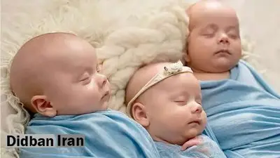پرداخت ماهانه ۴.۴ میلیون تومان به خانوادههای دارای چندقلو