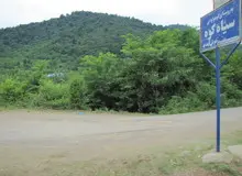 مجوز برای درخت‌کُشی در جنگل هزارساله صومعه سرا!