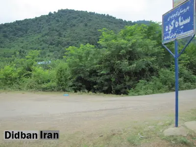 مجوز برای درخت‌کُشی در جنگل هزارساله صومعه سرا!