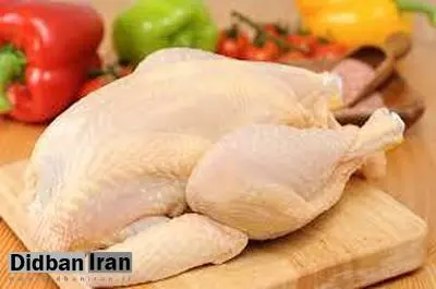 مرغ آماده طبخ 10 هزارو 300 تومان
