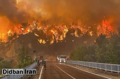 سواحل مدیترانهایِ ترکیه در محاصره آتش