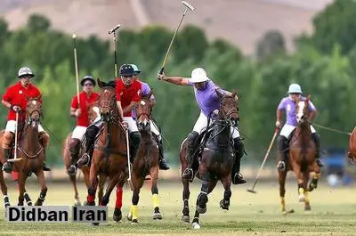 سرپرست جدید فدراسیون چوگان معارفه شد