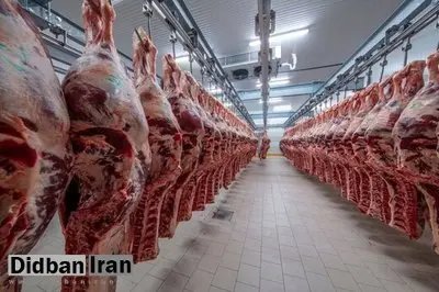 دویست هزار تن گوشت قرمز کنیا در راه بازار ایران