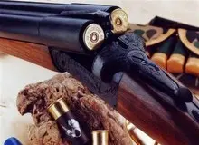 پسر بچه ملایری ، دختر عمویش را به قتل رساند