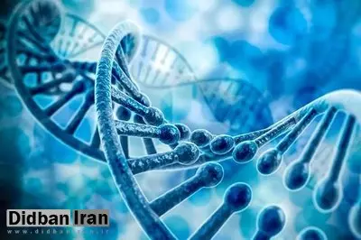 ارتباط اُتیسم با DNA تغییریافته