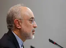 صالحی: در صورت نقض برجام از سوی آمریکا، پیش‌بینی‌های لازم انجام شده است