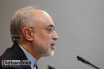 صالحی: در صورت نقض برجام از سوی آمریکا، پیش‌بینی‌های لازم انجام شده است